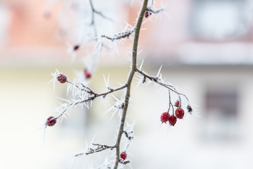 Winter in der Stadt