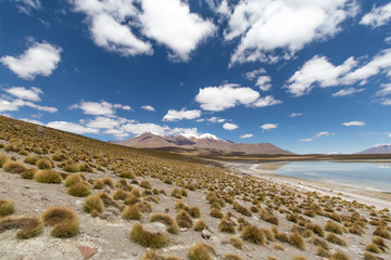 Laguna Bolivia
