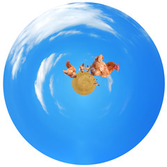 Fototapety na wymiar - Fototapeta24.pl