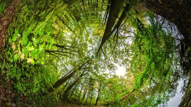 Swamp in Park Rabbit Hole Planet 360 Degree Walk in Forest Botanic Garden Fresh Air Breathing Recreation Tour to Europe Beautiful Autumn Landscape Sunset