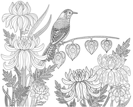 Bird and flower in garden. Page for adult coloring book. Doodle vector illustration.