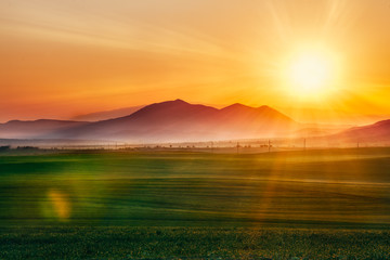 Sunrise over field 