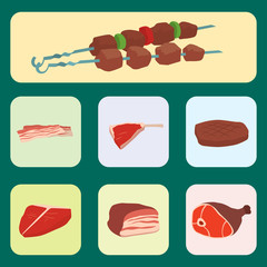Meat products set of cartoon delicious barbecue kebab variety delicious gourmet meal and animal assortment slice lamb cooked vector illustration