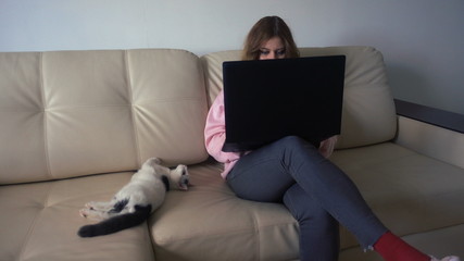 The girl working at a laptop sitting on a sofa next to the kitten 4k