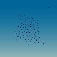 Seagulls Flying as night falls. Vector illustration of Flying Seagulls Silhouettes.
