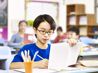asian primary school student studying in class