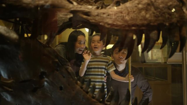  Family in natural history museum looking through glass at dinosaur skull