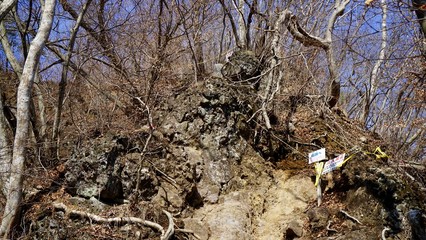 岩櫃山の沢通りから山頂への道