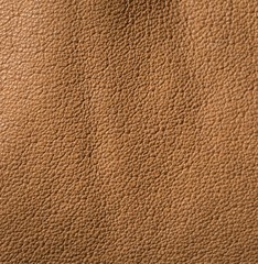 Leather creased background