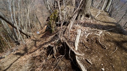 岩櫃山、尾根通り迂回路との分岐へ至る道