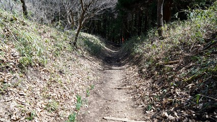 Fototapeta premium 岩櫃山、本丸跡から中城跡間の道