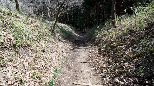 岩櫃山、本丸跡から中城跡間の道