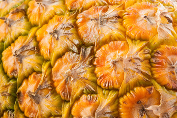 Close up of the Pineapple shell texture (Ananas comosus)