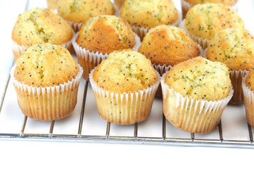 fresh baked small lemon muffin on the rack