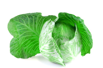 Obraz premium close up on fresh cabbage isolated on white background