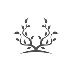 Silhouette of a young tree.