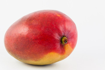 Mango (Mangifera indica) on white background