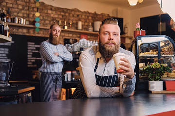 Bearded barista male at bar stand in a coffee shop.