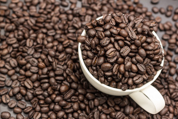 roasted coffee beans in white cup