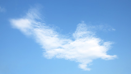 Fototapeta premium sky