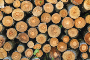 Background of firewood stacked in the woodpile