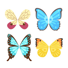 Wings butterfly isolated animal feather pinion freedom flight and natural hawk life peace design flying element eagle winged side shapevector illustration.