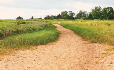 Sandy trail through a grassy area - Powered by Adobe