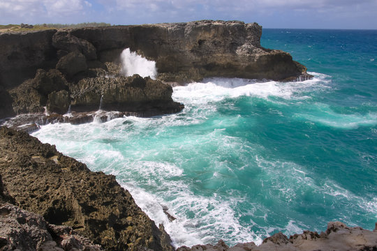 The north point of the island Barbados (Animal Flower Bay)