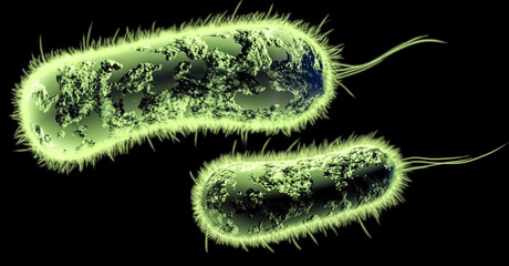 Digital 3D illustration of bacteria