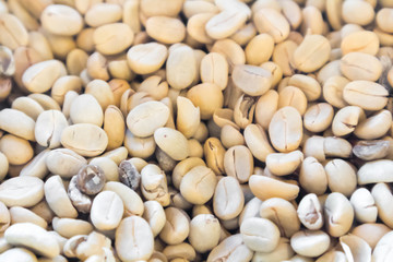 Close up raw green coffee beans unroasted background and texture concept, selective focus
