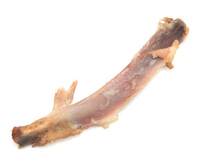chicken bone