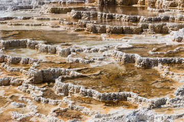 Mammoth hot spring, Yellowstone National Park