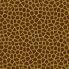 Giraffe Skin Pattern