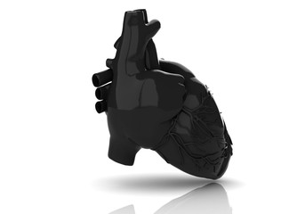 Illustration of the human heart