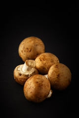 Agaricus silvaticus also known as Scaly Wood Mushroom, Blushing Wood Mushroom, Pinewood Mushroom