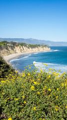 Point Dume in Full Bloom