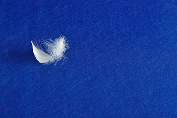 A white fluffy feather displayed on a colorful background
