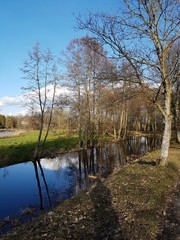 Park. Białowieża © michalsen