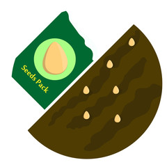 Seeds in the package, seed pods in the ground. Vector illustration