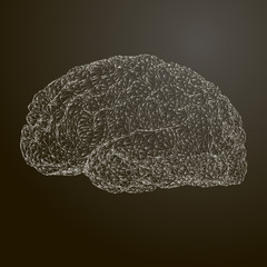 Stylized vector illustration of the brain. Conceptual image of thinking.