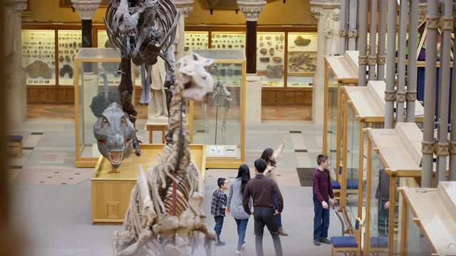  Families visiting a Natural History museum looking at the dinosaur exhibits