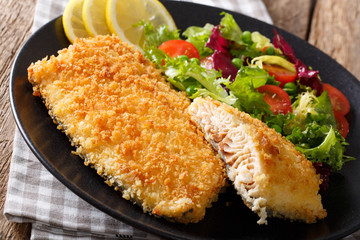 Fried fish fillet in breading and fresh vegetable salad close-up. horizontal