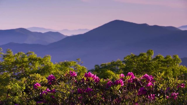Clean peaceful shot of the Blue Ridge Mountains of Asheville North Carolina