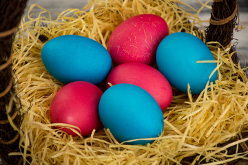 Fototapeta na wymiar Blue and red colored easter eggs