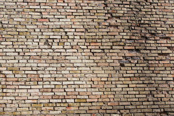 Old brick wall, motley