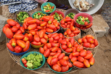 Fototapeta na wymiar Red Tomatoes / Vendor selling fresh tomatoes at the beach of Avepozo, Togo, West Africa