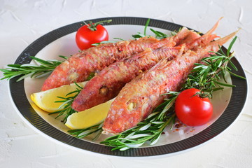 Grilled red mullet in a plate with herbs, tomato and lemon. Healthy food. Mediterannean lifestyle