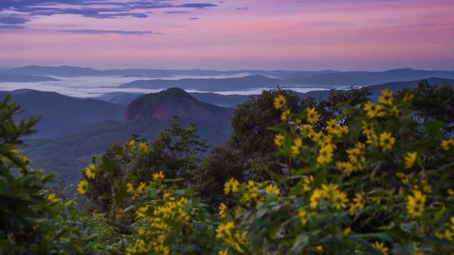 Peaceful sunrise morning in the Blue Ridge Mountains of Asheville North Carolina
