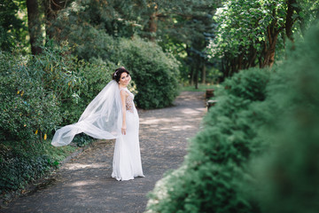 Look from behind at pretty bride with long veil posing on path in park