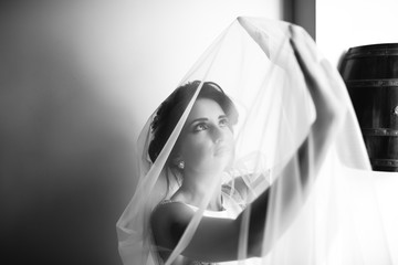Bride looks up through her veil